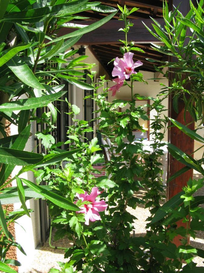 Vias Plage - Maison De Vacances Εξωτερικό φωτογραφία